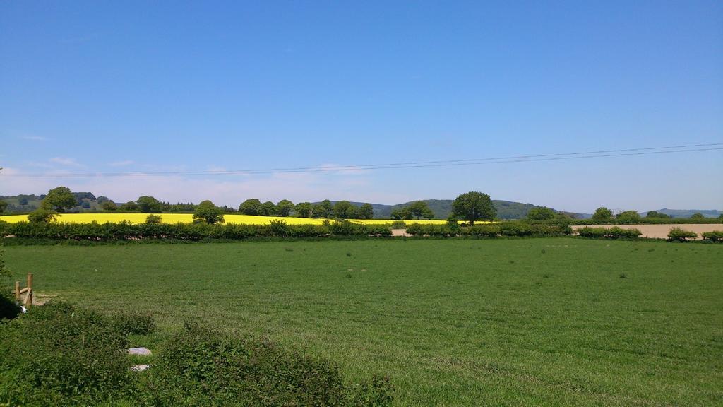 Upper Letton Farm Bed and Breakfast Leintwardine Buitenkant foto
