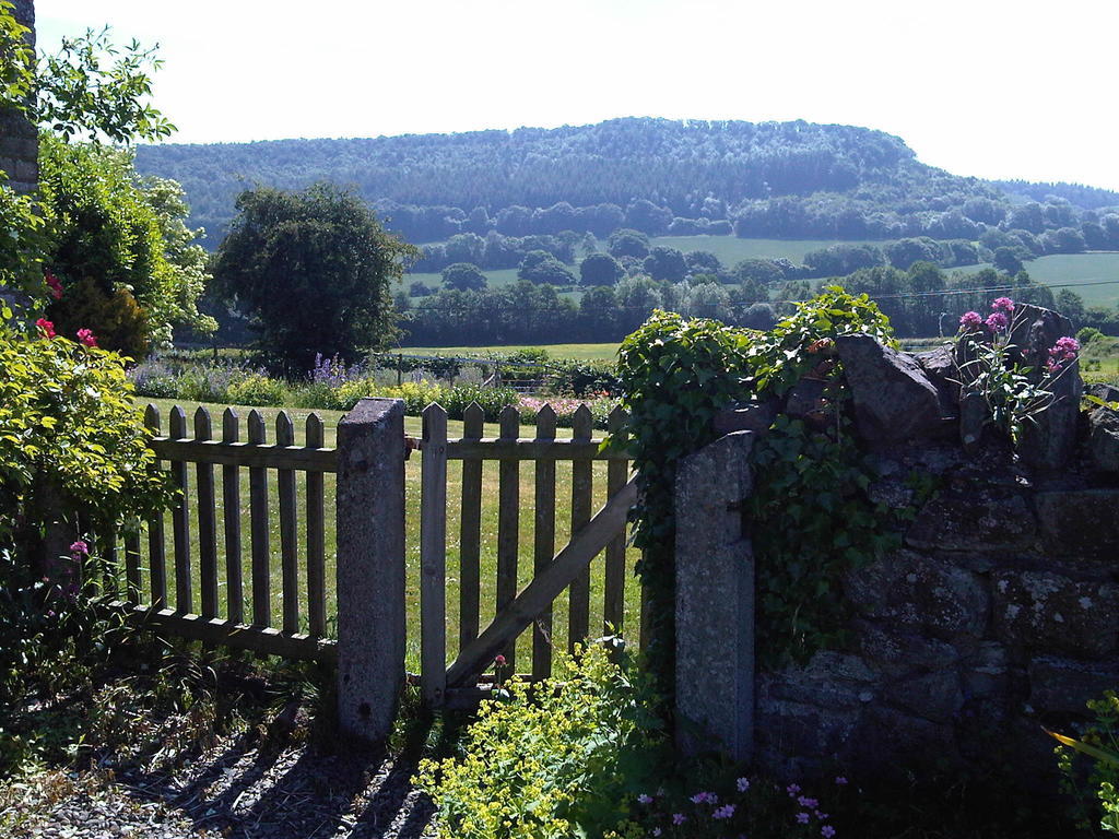 Upper Letton Farm Bed and Breakfast Leintwardine Buitenkant foto