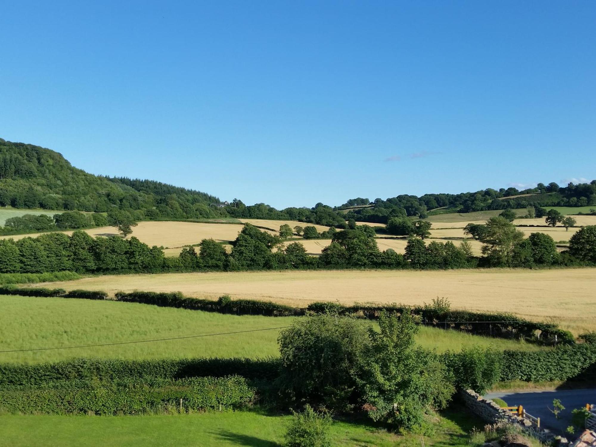 Upper Letton Farm Bed and Breakfast Leintwardine Buitenkant foto